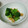 ｶﾆｺ's cooksnap of when they made 簡単！ブロッコリーとエビのマヨ炒め.