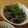 もんしゅしゅ's cooksnap of when they made うちのナスのシラス煮.