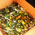 しょこたん19's cooksnap of when they made 骨を丈夫に！食べる小魚とひじきの煮物.