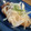 ａｋｉａｋｉ's cooksnap of when they made やさしいお酢で　酢タマネギ.