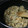 クックGO85F8☆'s cooksnap of when they made 簡単しっとりおから煮☆.