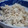 ｺﾝﾁｬ's cooksnap of when they made おからのわさびマヨネーズ和え.