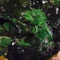 ちひろ☆〜（ゝ。∂）'s cooksnap of when they made さわやかぁ～♪モロヘイヤとわかめの酢の物.