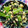 CHIHAMU's cooksnap of when they made うちの白和え^ - ^.