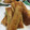ガノッチ's cooksnap of when they made ◎ささみとカマンベールのとろり春巻き◎.