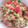 夕飯は６時です's cooksnap of when they made キヌアとパクチーデトックスサラダ.
