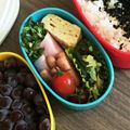 ミルクガラス's cooksnap of when they made お弁当に☆ハムのかいわれ巻き.