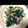 デメニギス★'s cooksnap of when they made ほうれん草とベーコンのバターソテー☆.