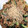 garden34's cooksnap of when they made ＊ゴーヤとひき肉の甘辛炒め＊.