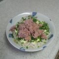 サーフブレイド's cooksnap of when they made 簡単ツナマヨねぎそうめん.