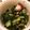 nao＊尚＊nao's cooksnap of when they made きゅうりとたこの酢の物.