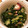 nao＊尚＊nao's cooksnap of when they made きゅうりとたこの酢の物.