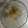 せみんちゅ's cooksnap of when they made 冬瓜の甘酢漬け☆.