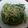 マジクック's cooksnap of when they made 水菜と豆苗の胡麻酢和え☆.