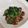 ゆかたんッ's cooksnap of when they made 韓国屋台風！砂肝のネギ塩炒め.
