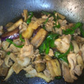 ささぼう's cooksnap of when they made てりやき風♪なす・豚肉⭐甘辛しょうが焼き.