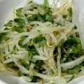 ほねほねになりたい's cooksnap of when they made 大葉でさっぱりもやしナムル.