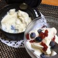 ぴのっちです's cooksnap of when they made お豆腐とヨーグルトのアイス.