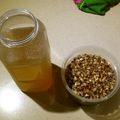 ホッと。's cooksnap of when they made 八列コーン茶☆とうもろこし茶.