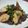 ことゆずこ's cooksnap of when they made たけのこと牛肉の炒め煮.