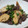 ことゆずこ's cooksnap of when they made たけのこと牛肉の炒め煮.