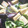 emi0212's cooksnap of when they made 茄子とピーマンの煮浸し.