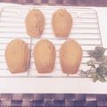 しほくう's cooksnap of when they made 黒糖きな粉フィナンシェ（修正版）.