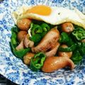 ひつじ1022's cooksnap of when they made 超簡単！《ウインナー&ピーマン炒め》.