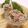 赤い電話's cooksnap of when they made イワシのなめろう.