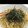 りらずきん's cooksnap of when they made 簡単＊おろしきゅうりのパスタ.