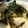 さぁ★たぁ★'s cooksnap of when they made プレ農家めし◆山形のだし夏野菜の漬け物.