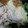 マユサクラ's cooksnap of when they made ✿冷しゃぶととろろのぶっかけそうめん✿.