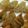 おすましはひこ's cooksnap of when they made 本物の味！津ぎょうざ.