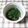 アタックひめちゃん's cooksnap of when they made せりのおひたし.