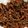 クックLLP08V☆'s cooksnap of when they made あっという間のドライカレー♪.