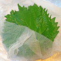 こはる・▽・'s cooksnap of when they made ずっと元気♪大葉の保存方法.