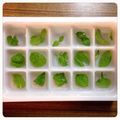 ayaly＊'s cooksnap of when they made めっちゃ簡単☆ミント氷.