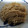 クックZ69KDS☆'s cooksnap of when they made レンジで簡単♪えのきのわさび醤油和え.