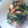 ☆しいたんママ☆'s cooksnap of when they made 鶏むねとうもろこしピーマンの炒め物～♪♪.