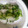 クックRYTDC4☆'s cooksnap of when they made 野菜消費♪塩麹とゆかりの浅漬け.