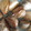 mogumogu5's cooksnap of when they made にんにくの保存方法.