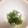 Jodymew's cooksnap of when they made オクラの胡麻和え.