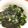 Faiza's cooksnap of when they made すぐできる♪わかめと長ネギのニンニク炒め.