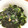 Faiza's cooksnap of when they made すぐできる♪わかめと長ネギのニンニク炒め.
