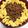 クック8FU3IF☆'s cooksnap of when they made そぼろごはん☆お弁当にもおすすめ.
