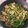 いろはすとろんぐ's cooksnap of when they made ピーマンと豚肉の甘辛みそ炒め.
