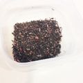 アルクトゥールス's cooksnap of when they made 梅干しの揉みしそで手作りゆかり.