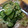 KRハレアイナ's cooksnap of when they made 簡単！うりのお漬け物♪.