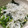 クック7JU1ZT☆'s cooksnap of when they made 超簡単！オクラとわかめとしらすの和え物.
