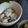 ♡ひな祭り♡'s cooksnap of when they made えびマヨきゅうり.